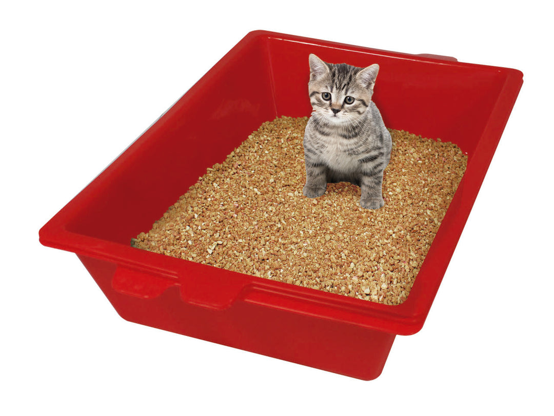 Go – Sistema Inteligente de Limpeza para Areia de Gato