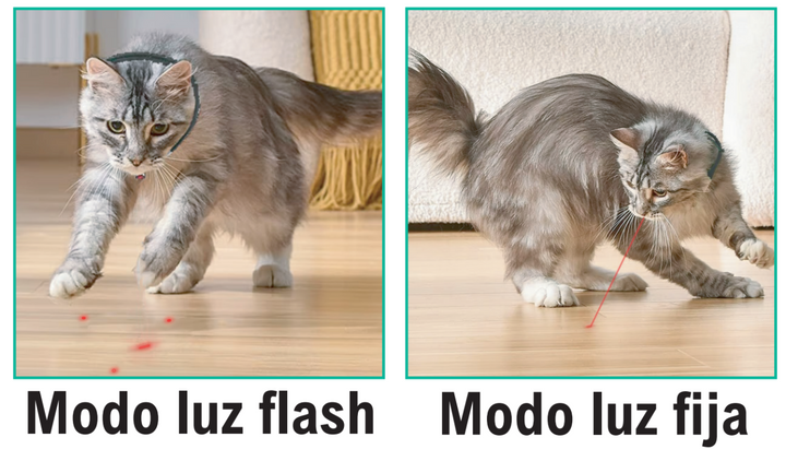 Coleira de Jogo de Laser para Gatos