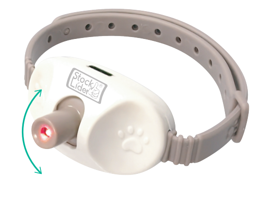 Coleira de Jogo de Laser para Gatos