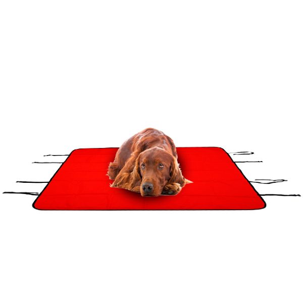 Capa protetora individual carro para animais