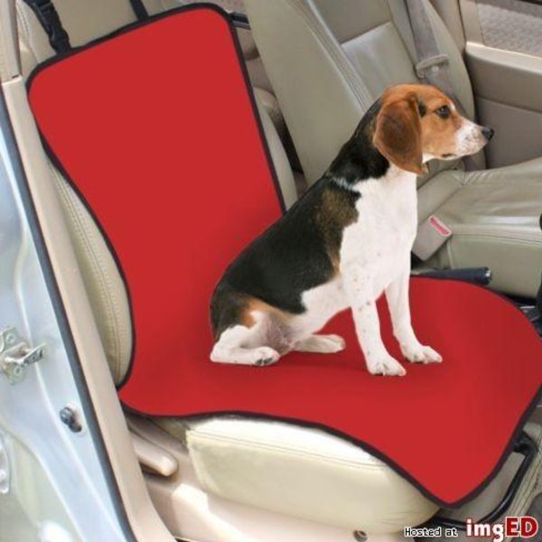 Capa protetora individual carro para animais