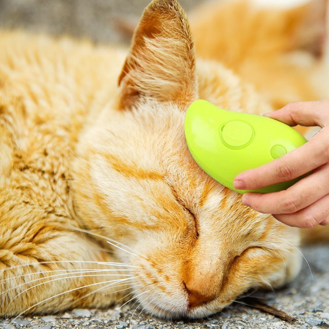 Escova USB a Vapor para Gatos e Cães