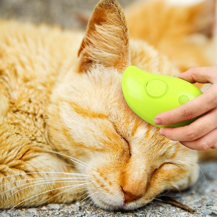 Escova USB a Vapor para Gatos e Cães