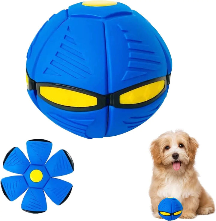Bola de Cão Sellone