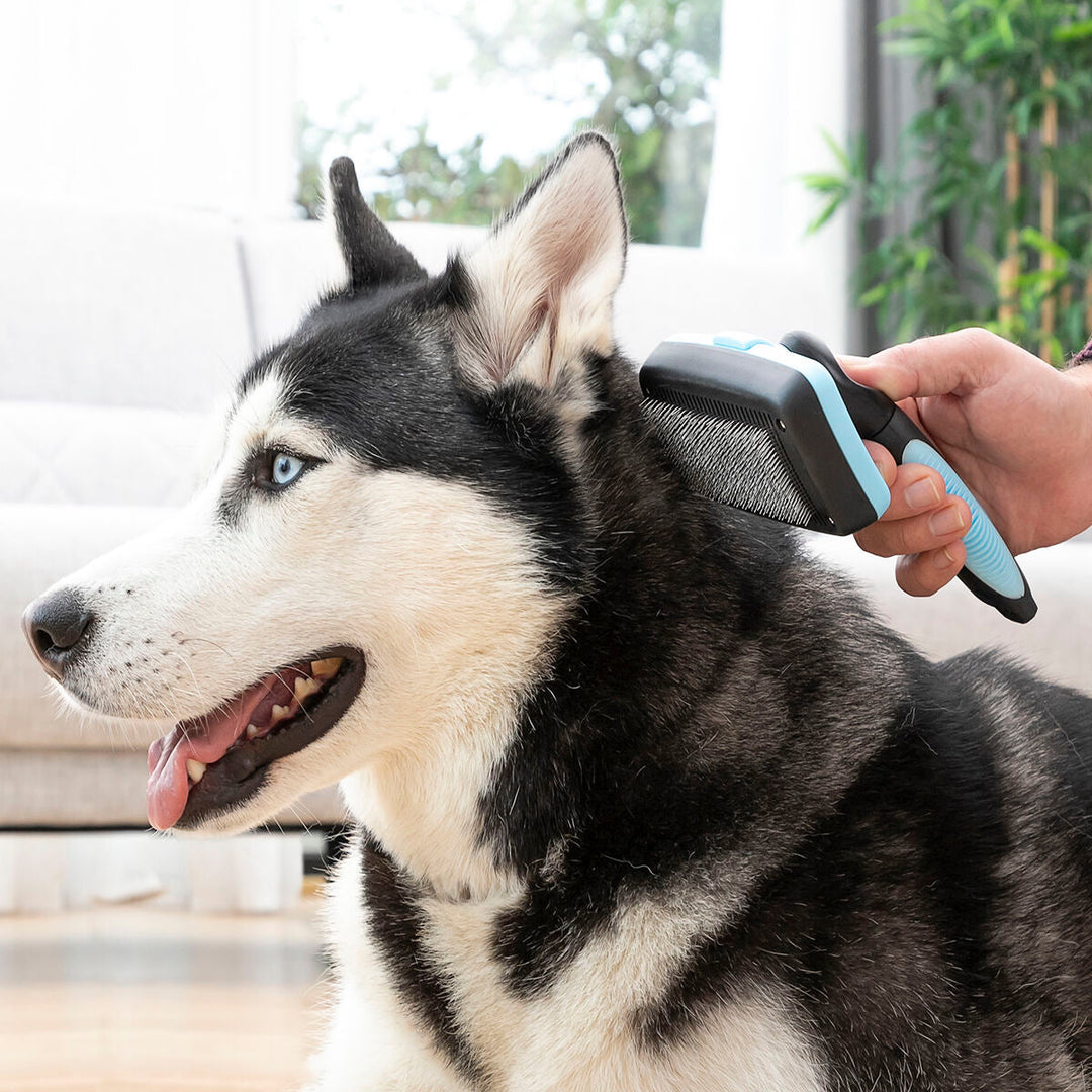 Escova de Limpeza para Animais de Estimação com Cerdas Retráteis Groombot InnovaGoods